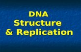DNA Structure & Replication. Overview DNA Structure.