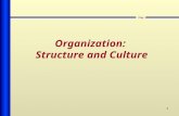 1 Chap 3 Organization: Structure and Culture. 2 Chap 3 We have defined our corporate strategy and method for selecting our project. We must define what.
