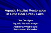 Aquatic Habitat Restoration in Little Bear Creek Lake Joe Jernigan Aquatic Plant Manager Alabama Wildlife and Freshwater Fisheries.