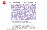 Maslak, P. ASH Image Bank 2008;2008:8-00044. Copyright ©2008 American Society of Hematology. ASH Teaching Slides: Blood Cells The appearance of normal.