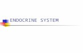 ENDOCRINE SYSTEM. TYPES OF GLANDS Endocrine Exocrine.