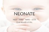 NEONATE NEO – newNATE – birth First month of life.
