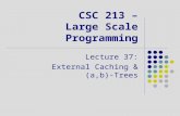 CSC 213 – Large Scale Programming Lecture 37: External Caching & (a,b)-Trees.