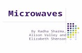 Microwaves By Radha Sharma, Alison Valley and Elizabeth Shenson.