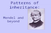 Mendel and beyond Patterns of inheritance:. Contrasting characters in peas.