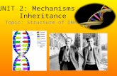 UNIT 2: Mechanisms of Inheritance Topic: Structure of DNA.