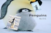 By D.G..  Penguins can live in Africa or the Antarctic. Most penguins live in Antarctica. It is so cold in Antarctica that penguins have to stay in a.