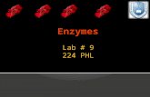 Lab # 9 224 PHL.  Phosphatases are enzymes which catalyze the splitting of phosphoric acid from mono-phosphate esters.  They are hydrolases.  Organic.
