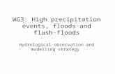 WG3: High precipitation events, floods and flash-floods Hydrological observation and modelling strategy.