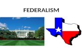 FEDERALISM. DIVISION OF POWER BETWEEN NATIONAL AND STATE GOVERNMENT.