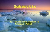 Subarctic By: Catherine Thomas & Ashwani Patel. Latitude Range 50 ̊ to 70 ̊Latitude World Location Canada Alaska Russia Siberia It is south of the Tundra.