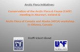 Arctic Flora Initiatives: Conservation of the Arctic Flora & Fauna (CAFF) meeting in Akureyri, Iceland & Arctic Flora of Canada and Alaska (AFCA) workshop.