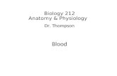 Biology 212 Anatomy & Physiology I Dr. Thompson Blood.