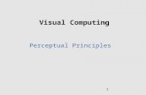 1 Visual Computing Perceptual Principles. 2 Visual Principles Vision as Knowledge Acquisition Pre-attentive Properties Gestalt Properties Sensory vs.