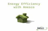 Energy Efficiency with Anesco. Introduction Presented by Matt Sandell - Business Development Manager Jamie Champness – Green Deal & ECO Manager.