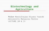 Biotechnology and Agriculture Madam Noorulnajwa Diyana Yaacob Universiti Malaysia Perlis LECTURE 10 & 11.