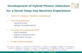 C. Joram RICH 2004 Mexico November 2004 Development of Hybrid Photon Detectors for a Novel Deep Sea Neutrino Experiment C2GT to measure Neutrino Oscillations.