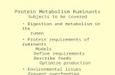 Protein Metabolism Ruminants Subjects to be covered Digestion and metabolism in the rumen Protein requirements of ruminants Models Define requirements.