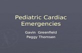 Pediatric Cardiac Emergencies Gavin Greenfield Peggy Thomsen.