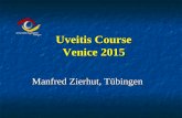 Manfred Zierhut, Tübingen Uveitis Course Venice 2015.