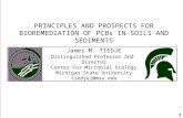 PRINCIPLES AND PROSPECTS FOR BIOREMEDIATION OF PCBs IN SOILS AND SEDIMENTS James M. TIEDJE Distinguished Professor and Director Center For Microbial Ecology.