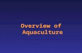 Overview of Aquaculture. World annual average per capita consumption of fish and fishery products (kg/capita) 11.5 12.5 16.7 1970s 1980s 2006 14.5 1990s.