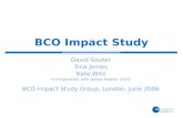 BCO Impact Study David Souter Tina James Kate Wild in conjunction with James Deane, CSCC BCO Impact Study Group, London, June 2006.