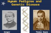 Human Pedigree and Genetic Disease Gregor MendelThomas Bayes.