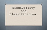 Biodiversity and Classification What is Biodiversity?  Biodiversity can be defined as the range of life in an area.  It includes not only the diversity.