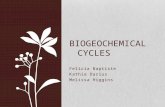 Felicia Baptiste Kathia Darius Melissa Higgins BIOGEOCHEMICAL CYCLES.
