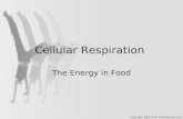 Cellular Respiration The Energy in Food. Cellular Respiration Cellular Respiration – A chemical process that uses oxygen to convert the chemical energy.