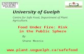 Food Under Fire: Risk in the Public Sphere By Shane Morris University of Guelph Centre for Safe Food, Department of Plant Agriculture. .