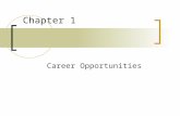 Chapter 1 Career Opportunities.  Residential Design  Remodeling (non-load bearing)  Kitchen Design  Bath/Spa Design  Lighting  Vacation Homes