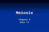 Meiosis Chapter 8 Part II. Agenda Textbook: Pages 136-143 Meiosis and crossing over, Pages 181-193 The structure of genetic material. Textbook: Pages.