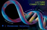 LECTURE CONNECTIONS 9 | Chromosome Variation © 2009 W. H. Freeman and Company.