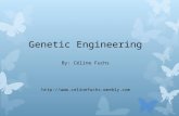 Genetic Engineering By: Céline Fuchs .