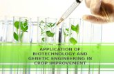 APPLICATION OF BIOTECHNOLOGY AND GENETIC ENGINEERING IN CROP IMPROVEMENT.
