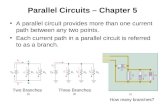 Parallel Circuits – Chapter 5 A parallel circuit provides more than one current path between any two points. Each current path in a parallel circuit is.