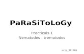 PaRaSiToLoGy Practicals 1 Nematodes - trematodes srjp_011686.