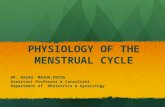 PHYSIOLOGY OF THE MENSTRUAL CYCLE DR. RAZAQ MASHA,FRCOG Assistant Professor & Consultant Department of Obstetrics & Gynecology.