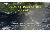 Gulf of Mexico Oil Leak Current Status, Impacts, and Everglades Foundation Involvement.