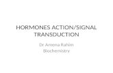 HORMONES ACTION/SIGNAL TRANSDUCTION Dr Amena Rahim Biochemistry.