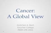 Cancer: A Global View Gretchen A. Koch Goucher College PEER UTK 2011.