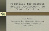 Potential for Biomass Energy Development in South Carolina Tim Adams Resource Development Director South Carolina Forestry Commission.