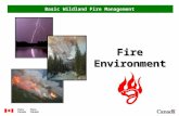Basic Wildland Fire Management Fire Environment. Objectives Upon completion of this section, you will be able to: 1.Explain significance of cold fronts,