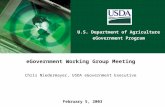 U.S. Department of Agriculture eGovernment Program February 5, 2003 eGovernment Working Group Meeting Chris Niedermayer, USDA eGovernment Executive.