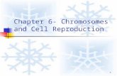 1 Chapter 6- Chromosomes and Cell Reproduction. 2 I. Chromosomes.