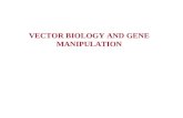 VECTOR BIOLOGY AND GENE MANIPULATION. INTRODUCTION TO CLONING.