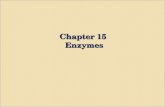 Chapter 15 Enzymes. Enzymes Ribbon diagram of cytochrome c oxidase, the enzyme that directly uses oxygen during respiration.