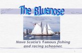 1 Nova Scotia’s famous fishing and racing schooner.